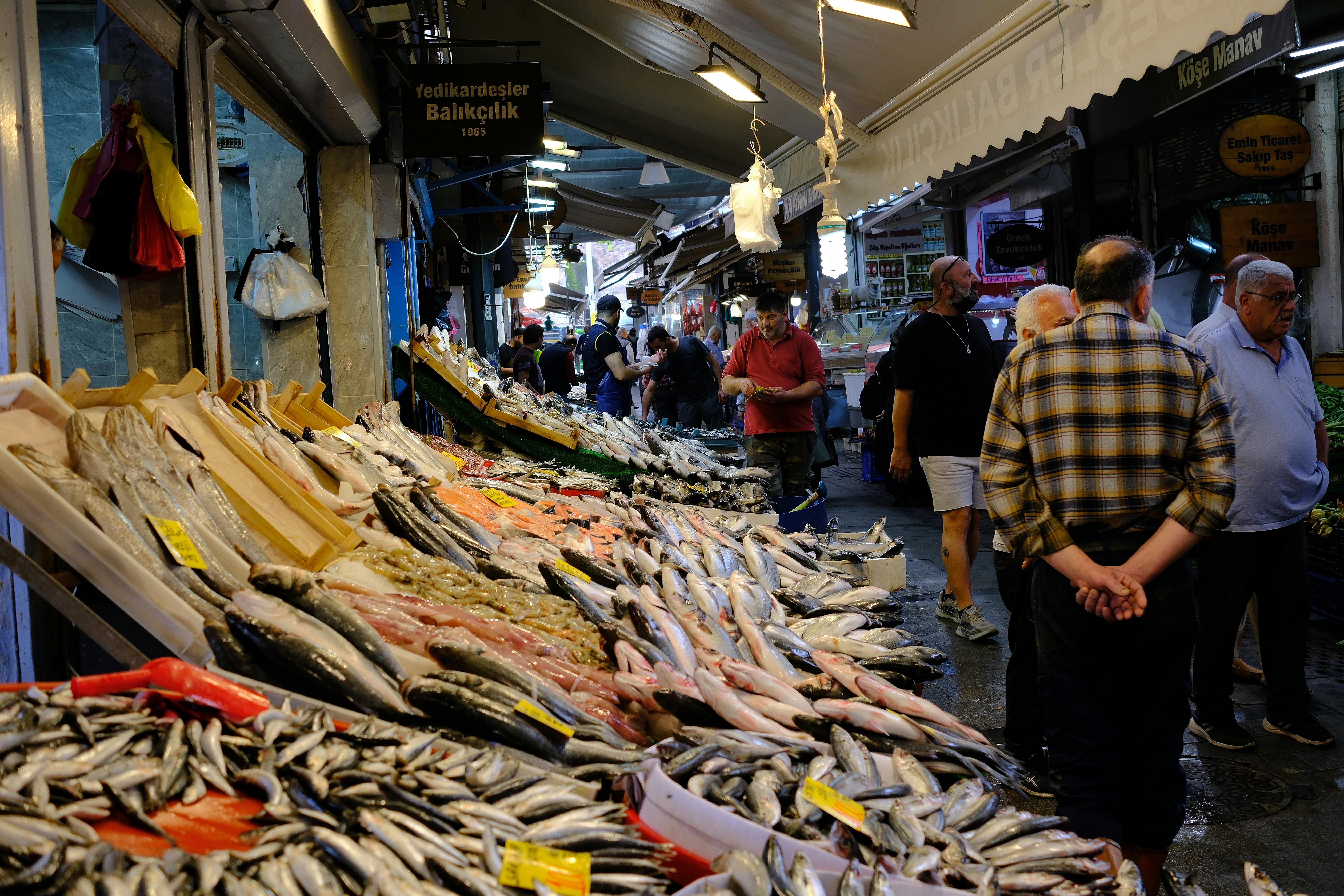 Fethiye fish market Turkey with fresh seafood displayed on ice, bustling vendors, and harbor views under golden morning light