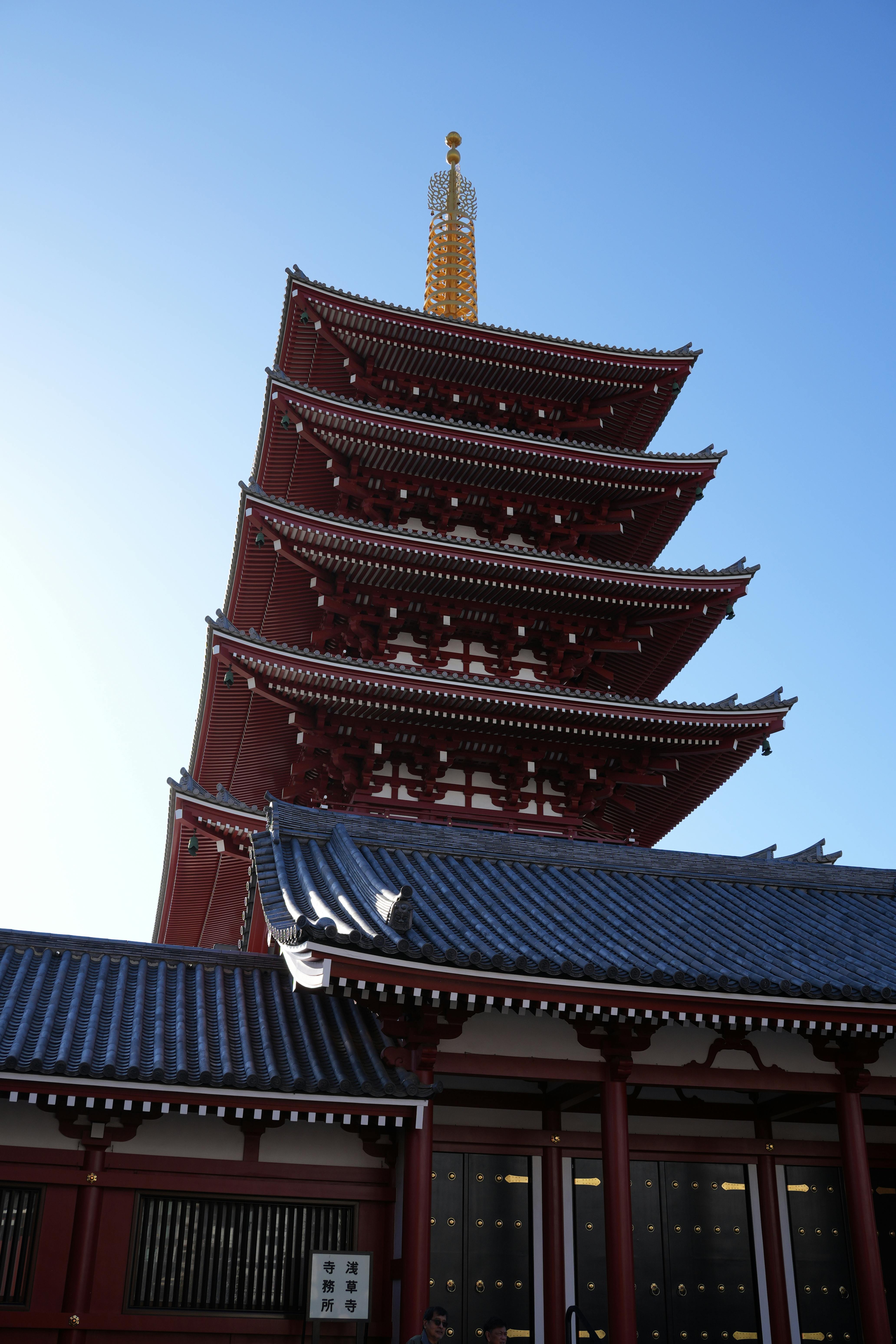 Illuminated Five-Story Pagoda at Night · Free Stock Photo