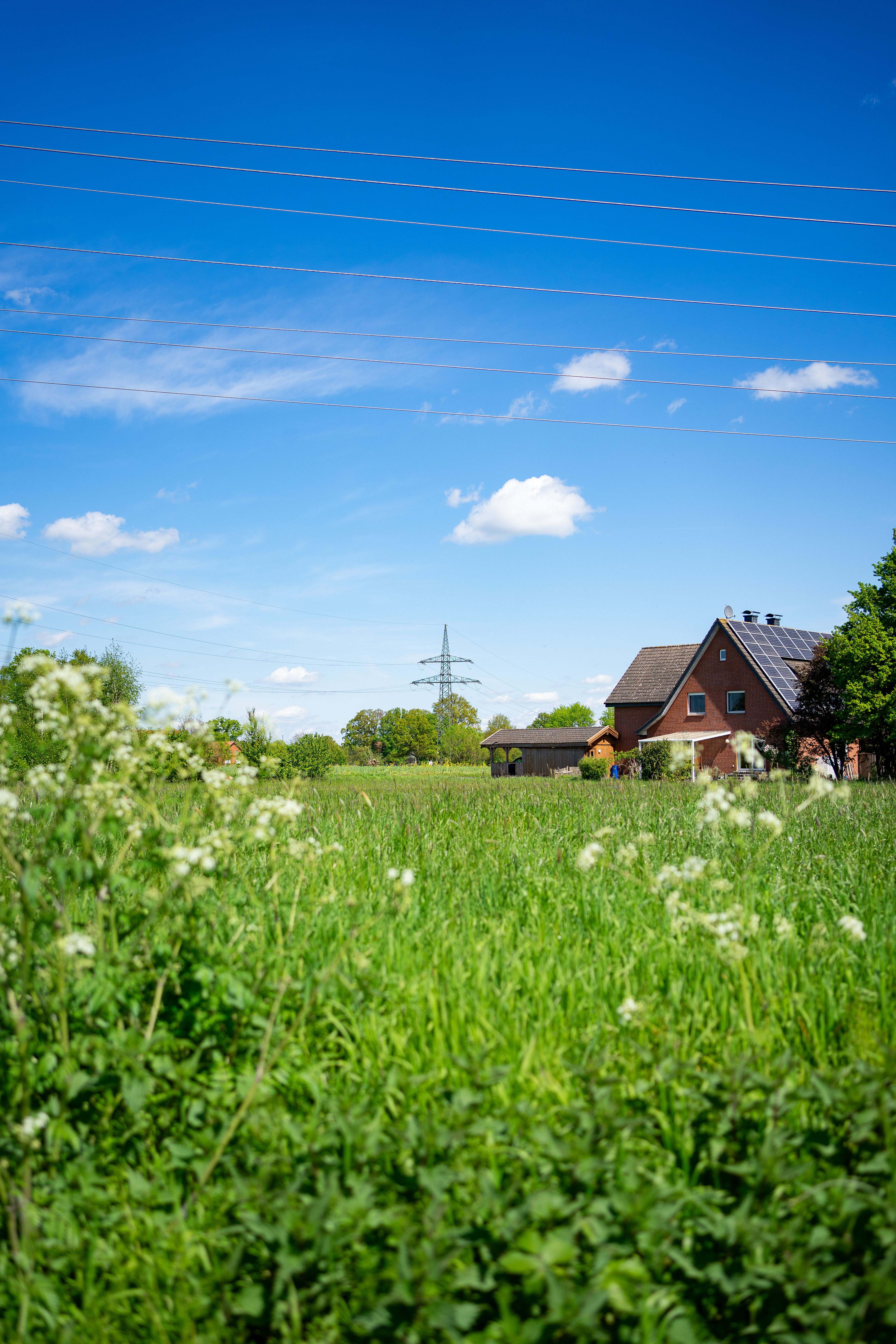 Grassland Near House in Countryside · Free Stock Photo