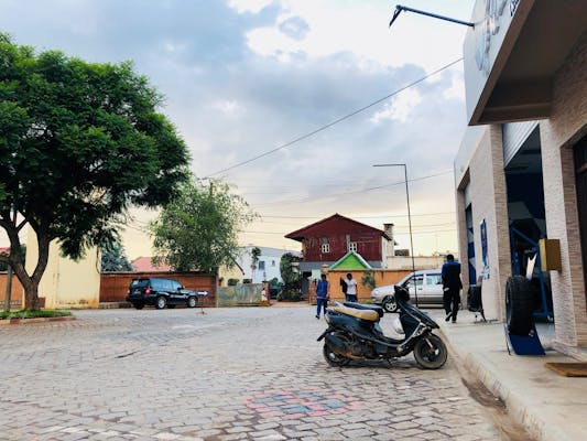 Start Your Organic Vegetable Garden This Spring