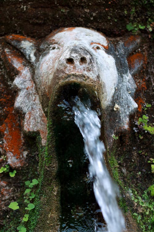 Безкоштовне стокове фото на тему «вода, вода протікає вниз, водяний фонтан»