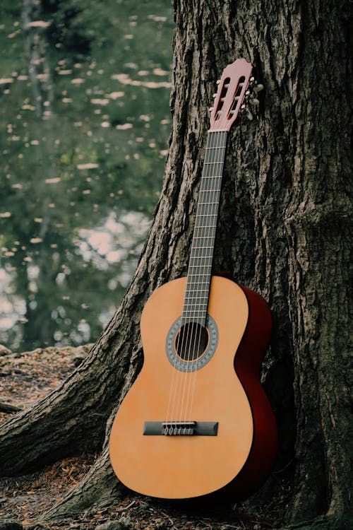 A guitar leaning against a tree in the woods