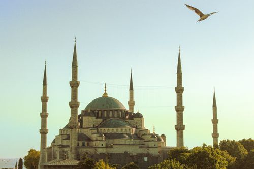 Free Capture of the Blue Mosque in Istanbul with a seagull soaring above, showcasing Ottoman architecture. Stock Photo