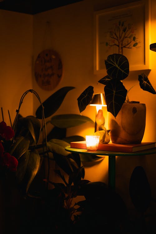 A candle lit on a table next to a plant