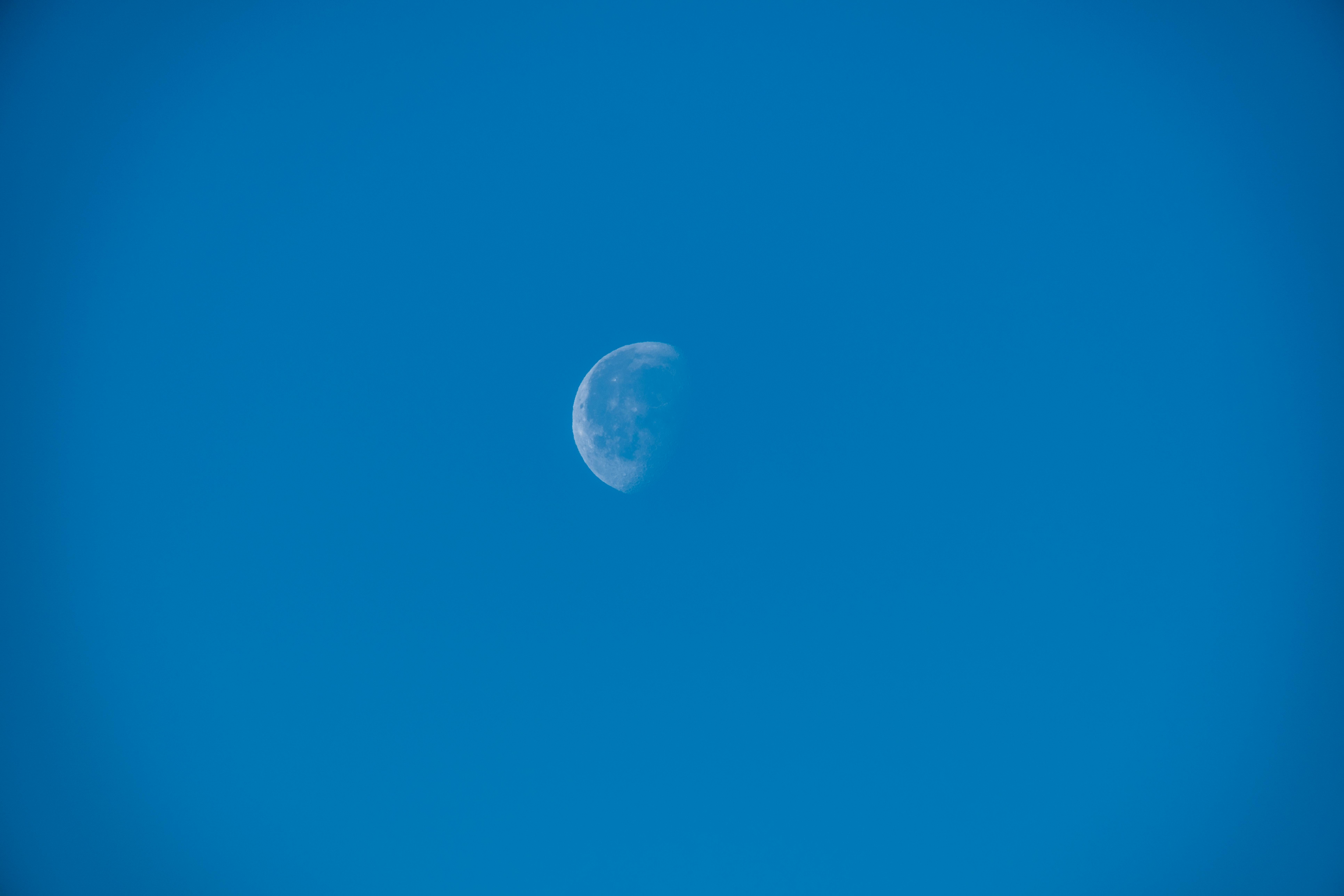 Bear Greg - Blue Yonder Computing