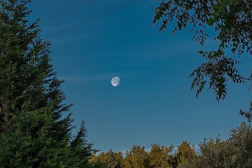 Free A tranquil shot of the half moon over lush trees in Bornova, İzmir. Stock Photo