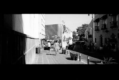 35mm 필름, 가벼운, 거리의 무료 스톡 사진
