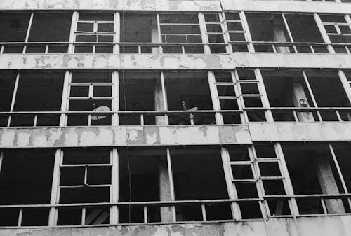 Black and white photograph of a building with windows