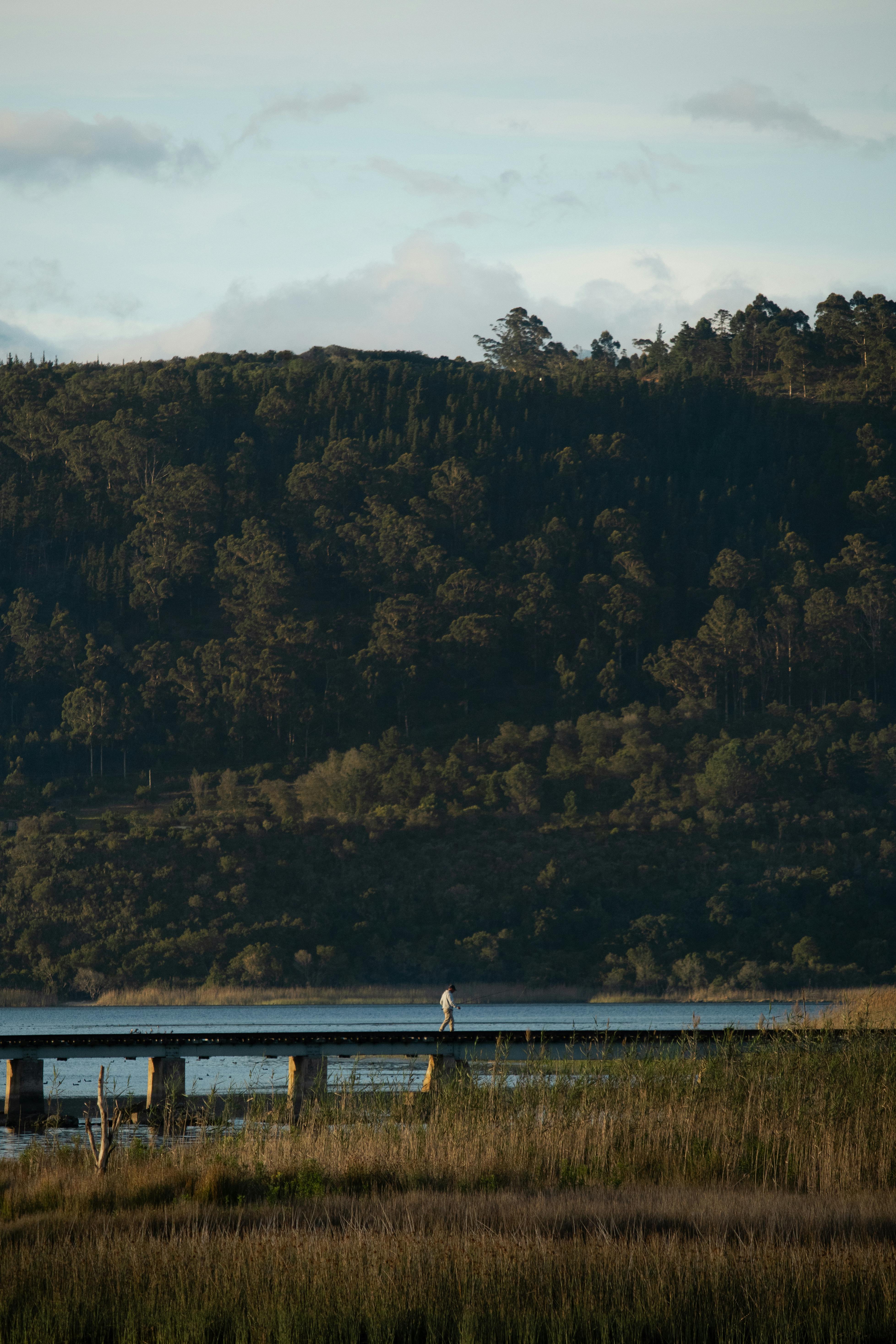 A solitary person walking on a bridge over a calm river surrounded by lush forest and gentle hills.