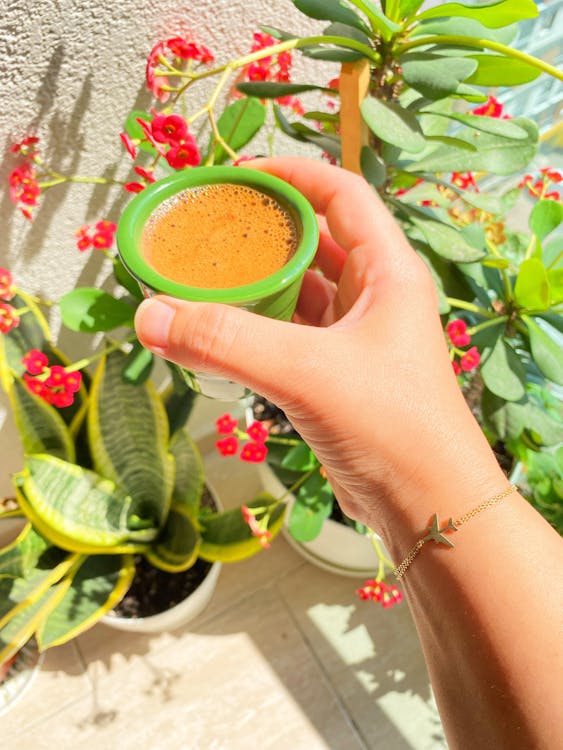 A person holding a cup of coffee in front of a plant