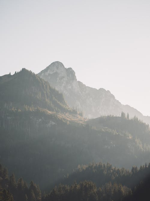 Free stock photo of mountains, summer