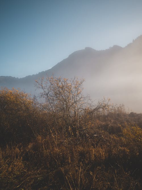 Δωρεάν στοκ φωτογραφιών με βουνά, ομίχλη