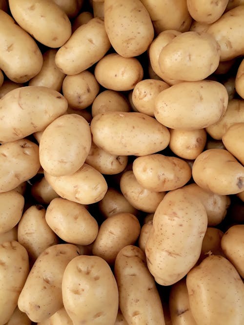 grátis Foto De Pile Of Potatoes Foto profissional