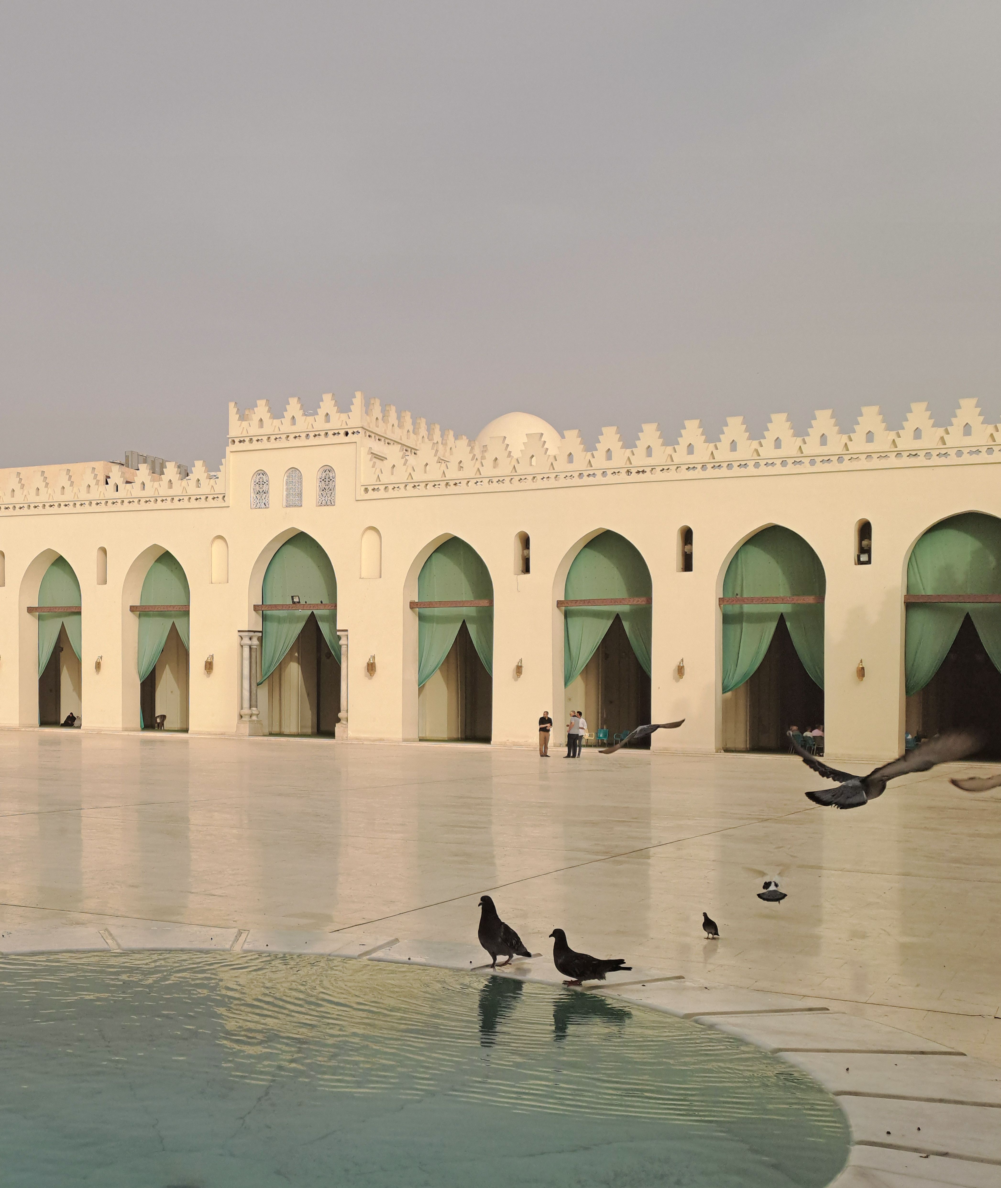Peaceful view of Al-Hakim Mosque courtyard with birds by a pool in Cairo, Egypt during daytime.