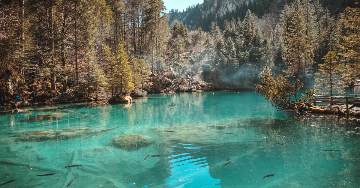 Les Poissons de Lacs Affrontent le Changement Climatique