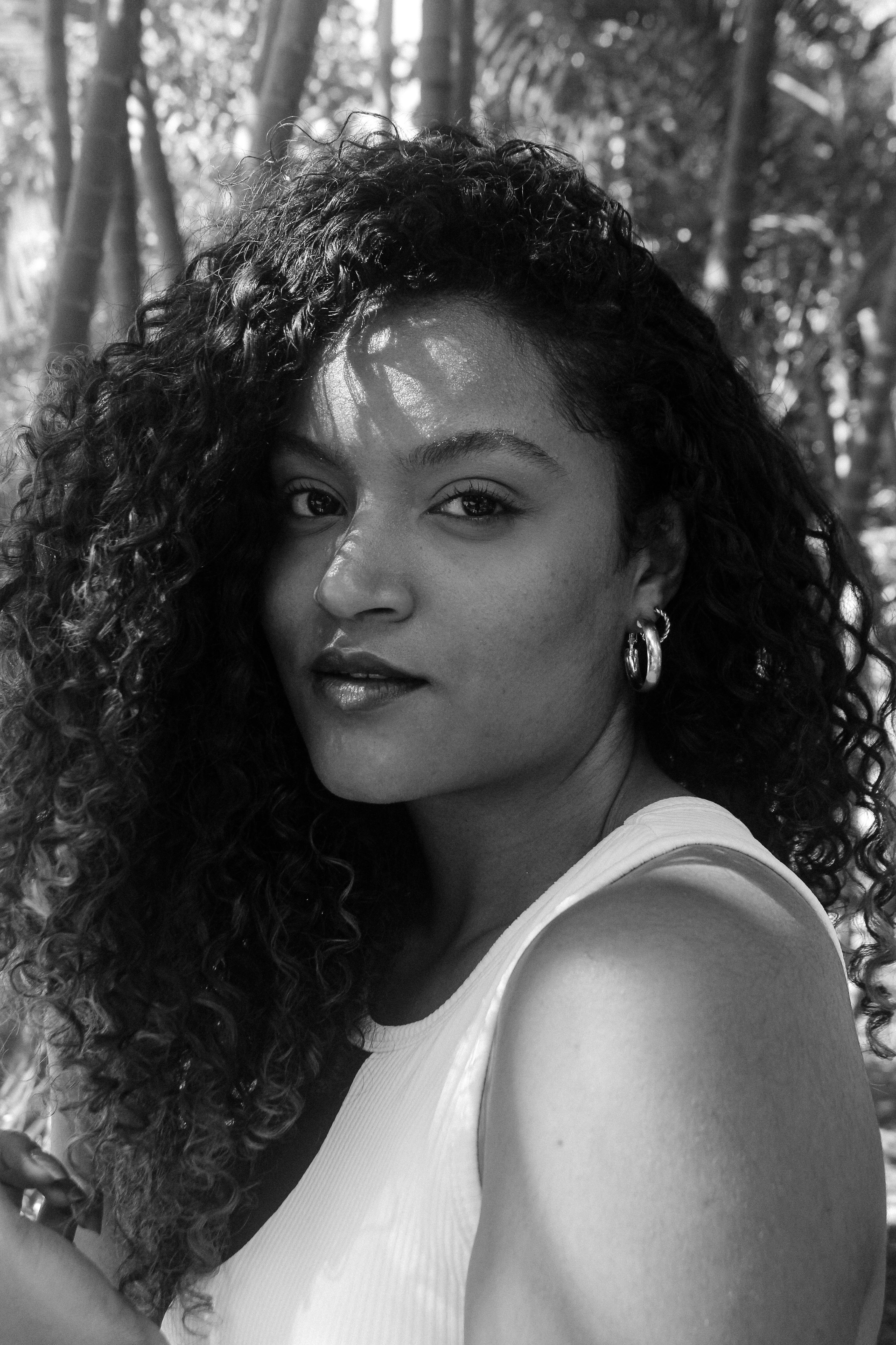 black and white · Free Stock Photo