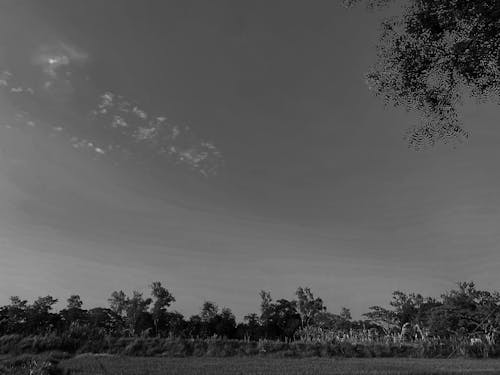 Foto profissional grátis de céu bonito, céu brilhante, céu cinematográfico