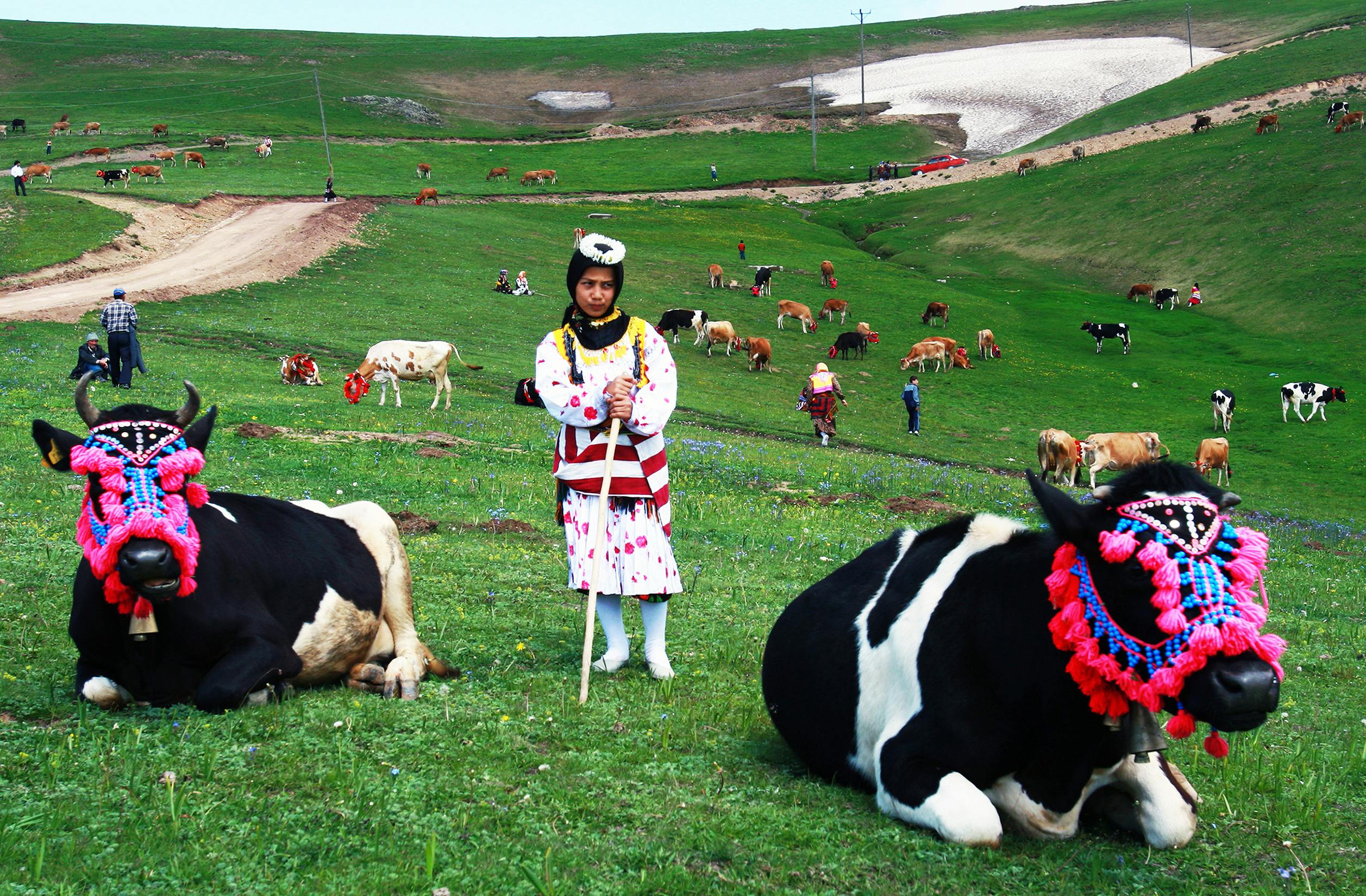 Türkiye’s population prefers Western lifestyle, survey shows — Photo by Fahri Öztoprak on Pexels