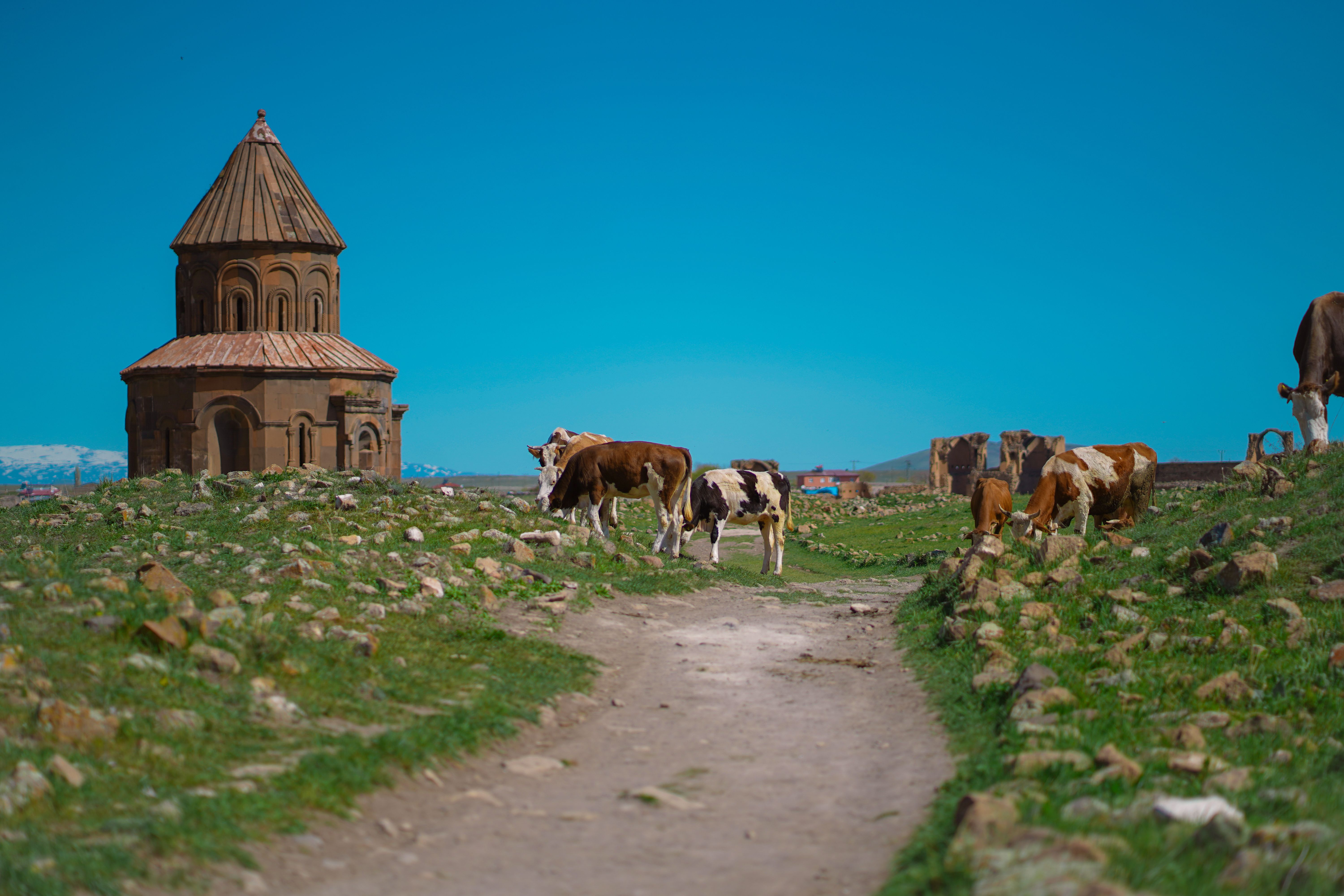 Ttujur