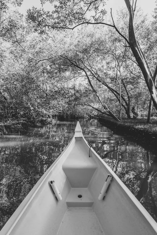 A black and white photo of a canoe on a river
