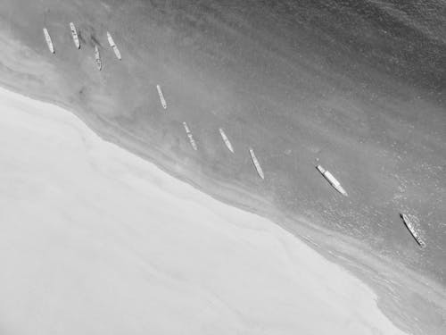 Darmowe zdjęcie z galerii z cień, deska snowboardowa, drzewa
