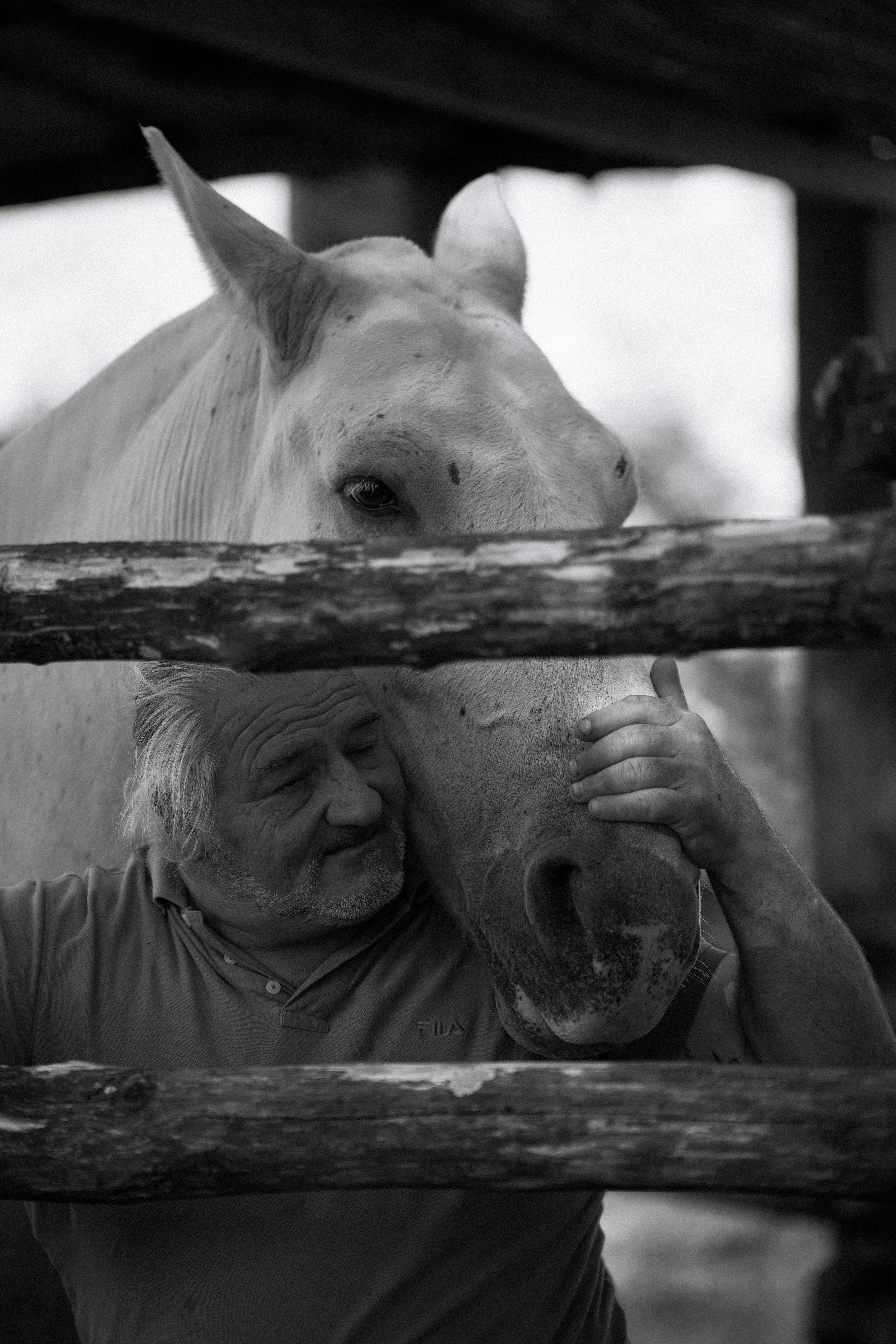 An intimate black and white portrait of a man gently embracing a horse through a wooden fence.