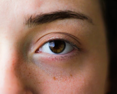 Free Person With Brown Eye Stock Photo