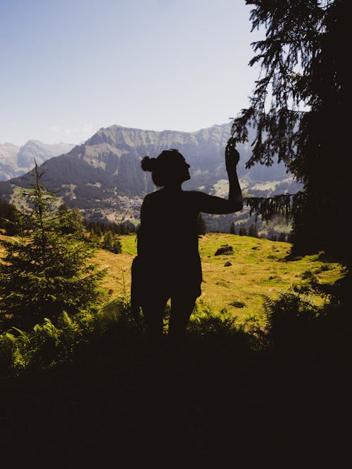 Silhouette of Person Touching Tree Leaf