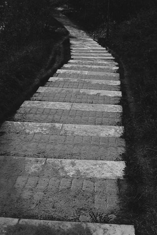 cobblestone staircase in black and white