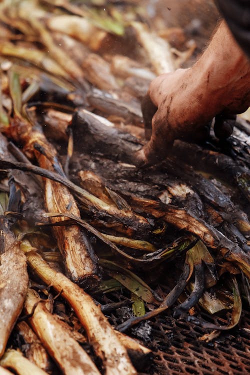 A person is cooking some vegetables on a grill