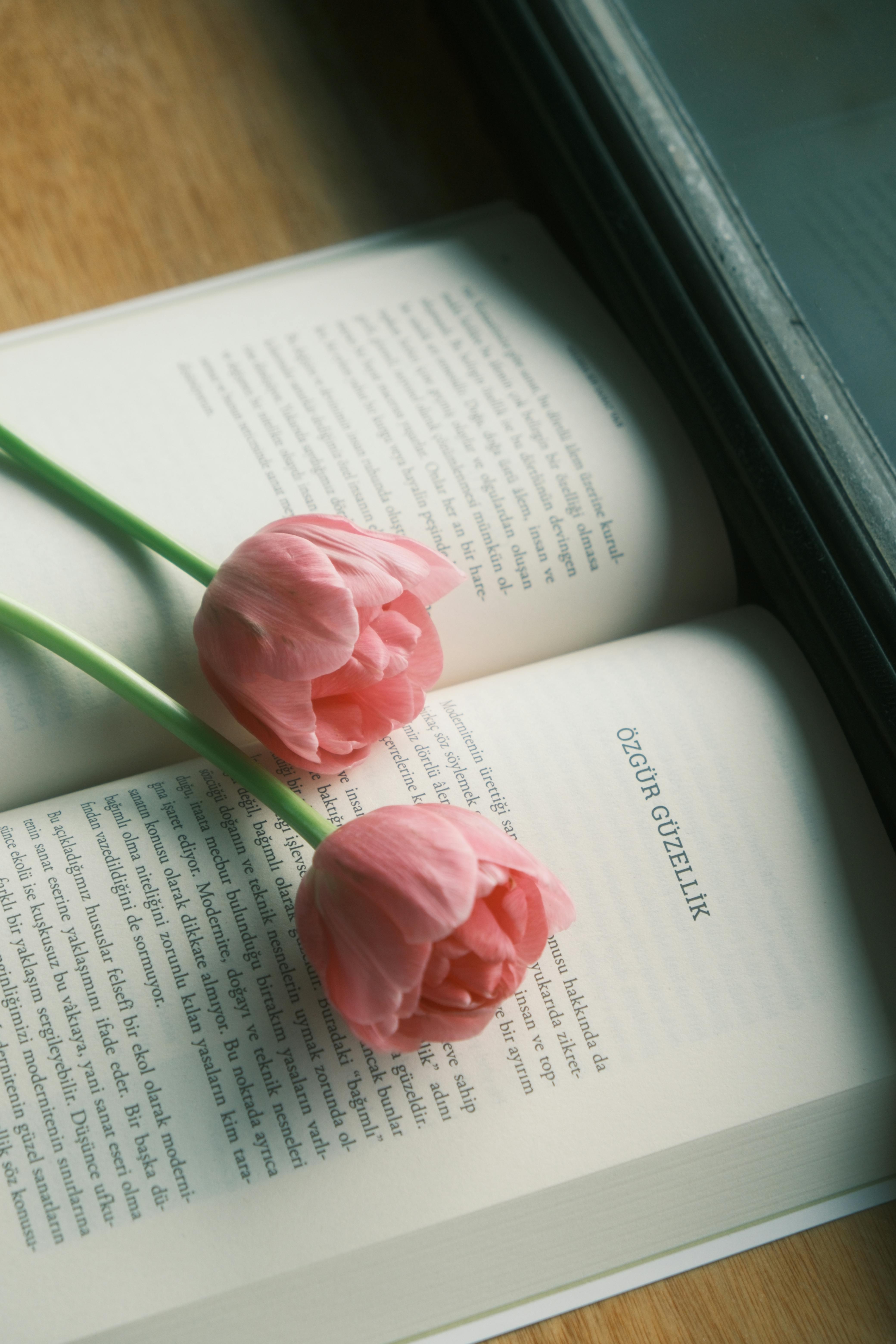 pink tulips on an open book