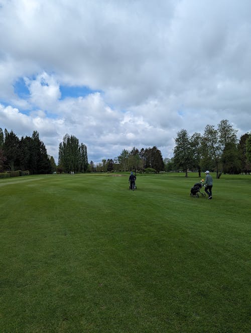 Free stock photo of fairway, golf, golfer