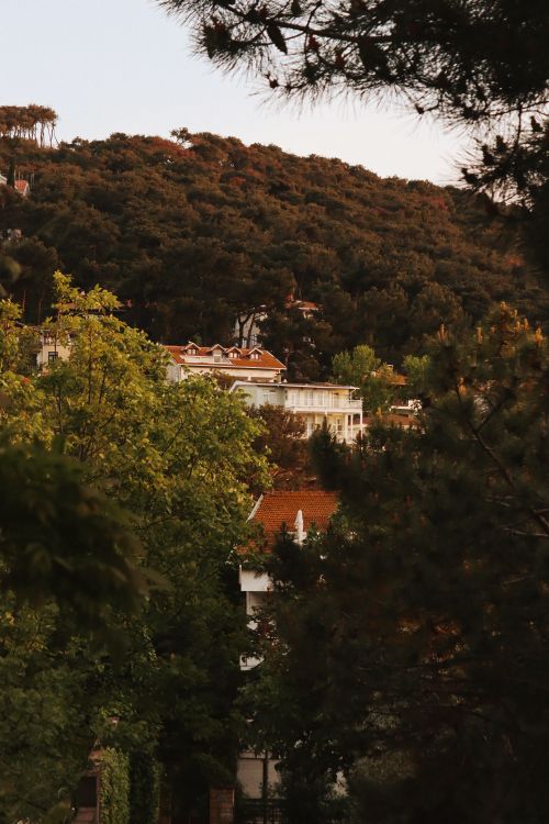 Free Scenic view of houses nestled among lush hills in Istanbul, Türkiye. Stock Photo