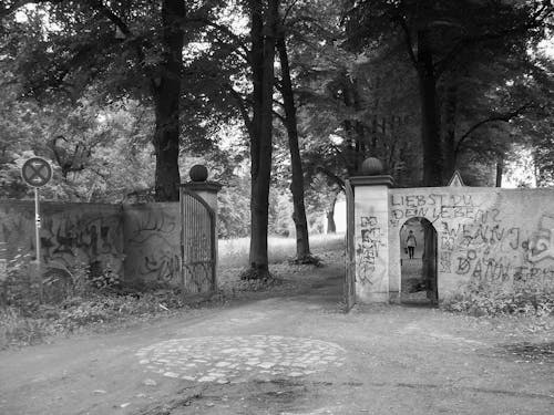 Berlin, kladow, natureworld içeren Ücretsiz stok fotoğraf