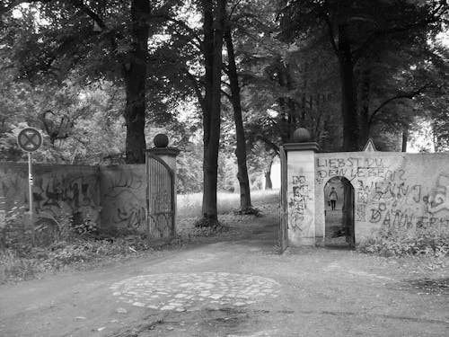 Kostenloses Stock Foto zu arrival, berlin, fetsival