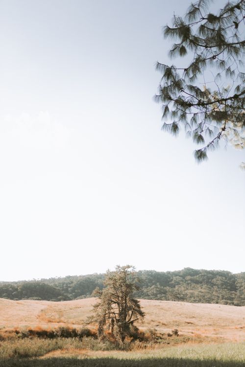 Free Serene countryside scene with open fields and trees under a clear sky, perfect for relaxation themes. Stock Photo