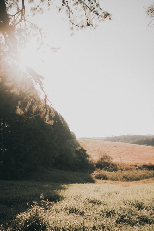Free Peaceful countryside scene with sunlight casting over a green field. Stock Photo