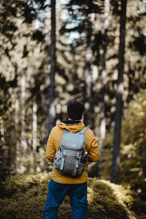 A man in yellow jacket and backpack standing in the woods