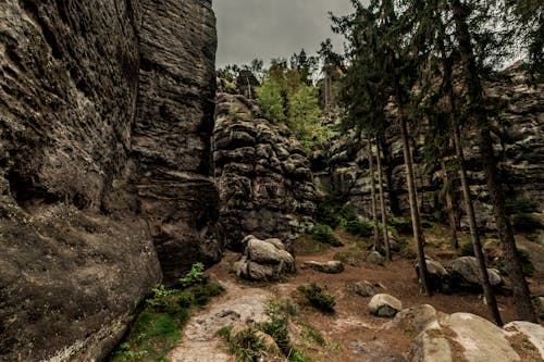 ウエルビルゲ自然公園, ウルラウブダヘーム, ジッタウエルビルゲの無料の写真素材