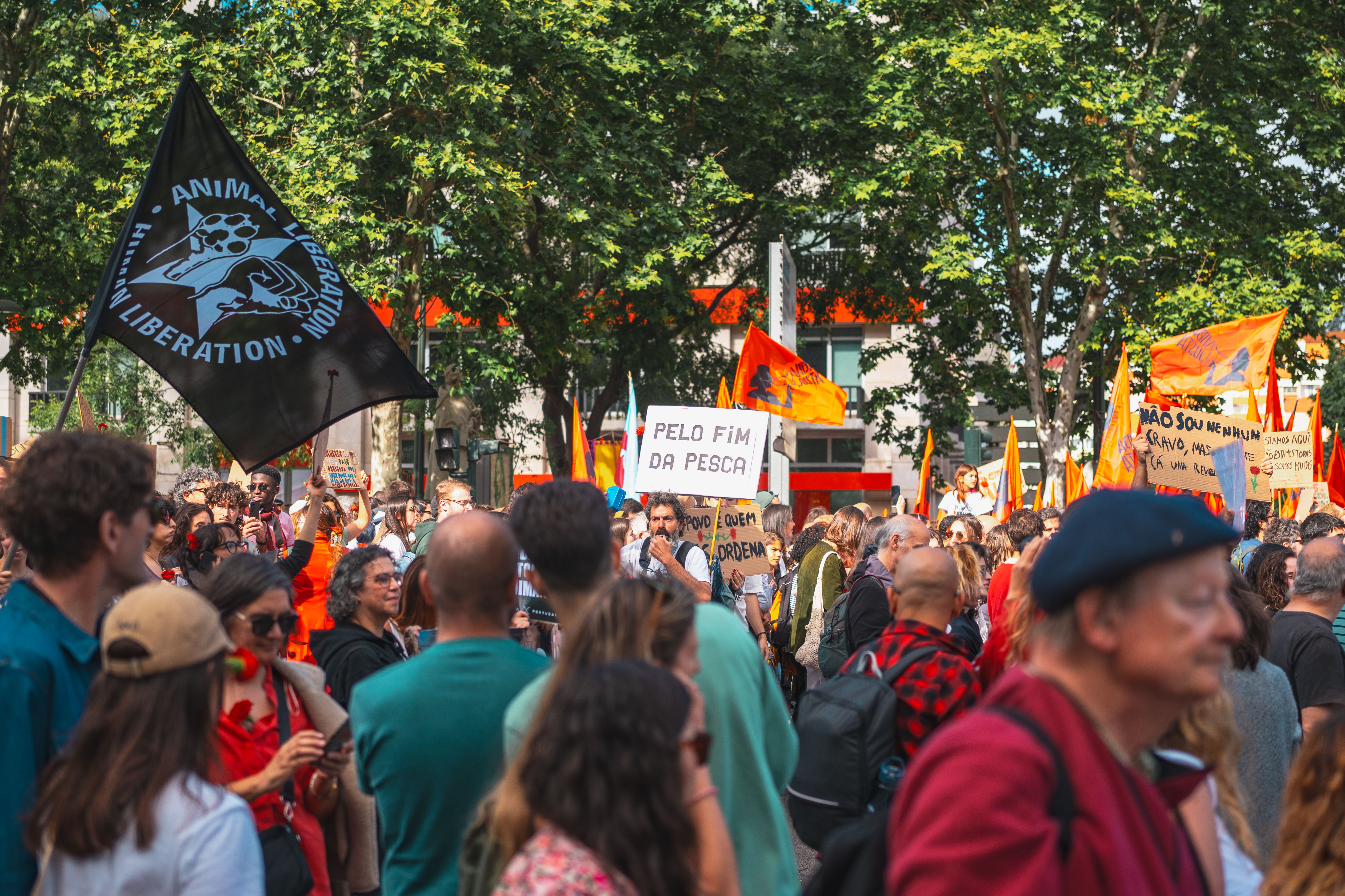 Crowd of People Marching on a Rally · Free Stock Photo