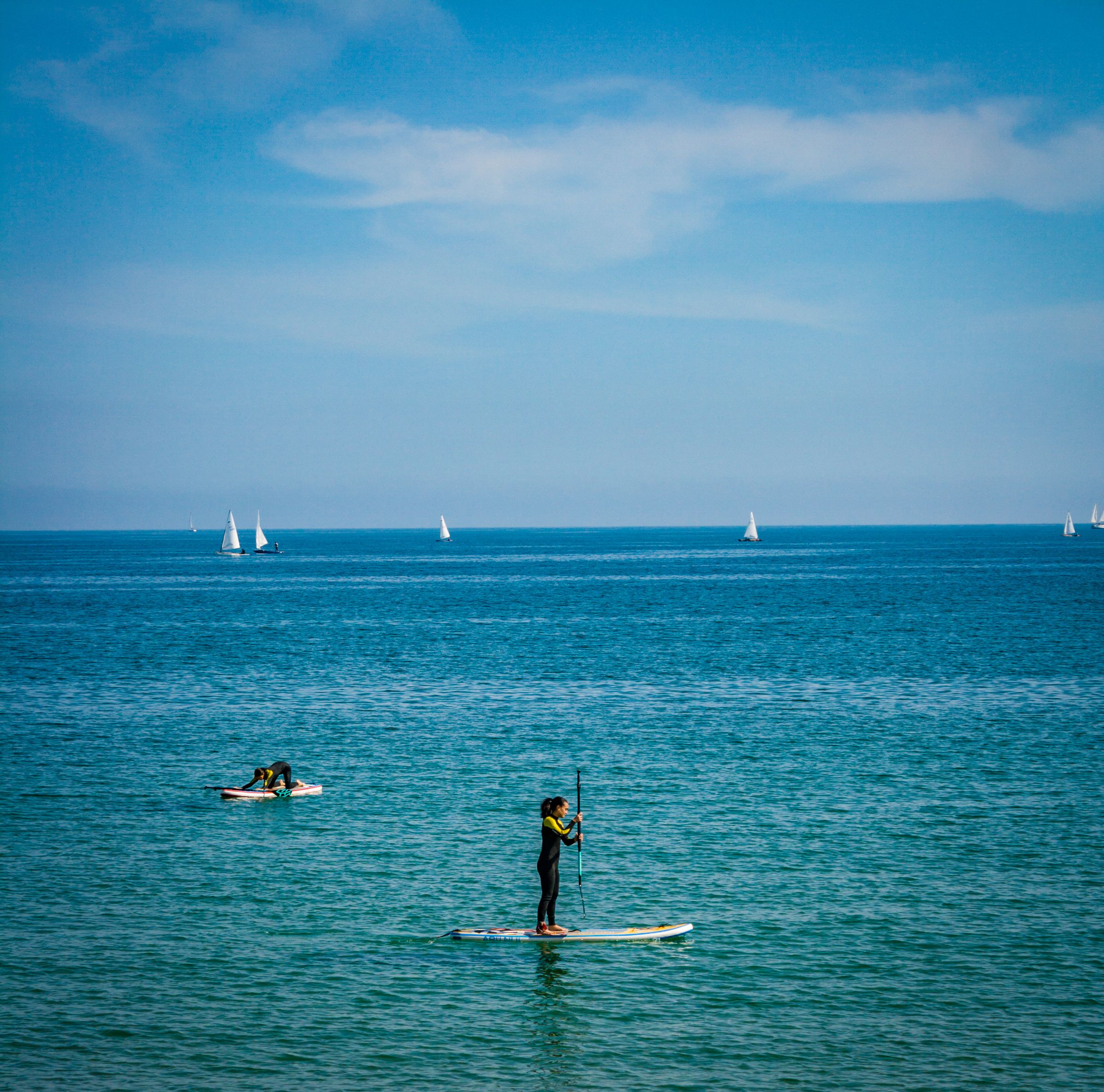 People paddleboarding together along a calm sea coast