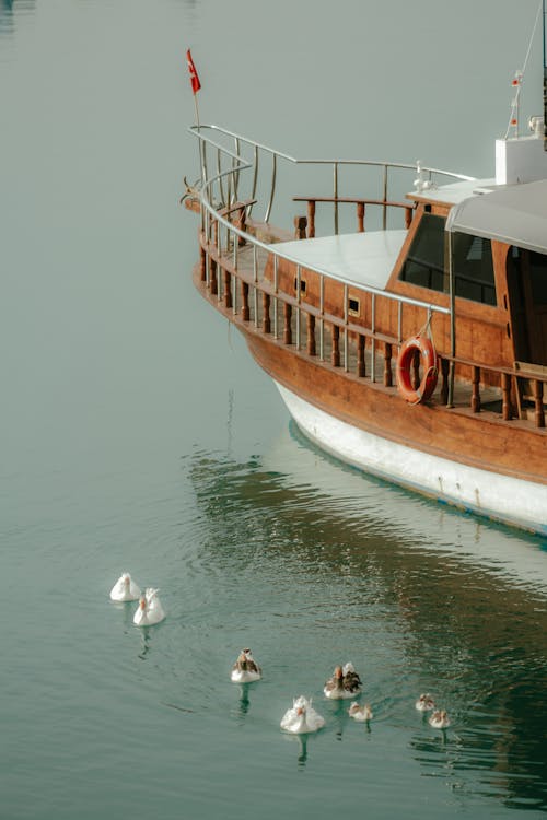 A boat with ducks on it