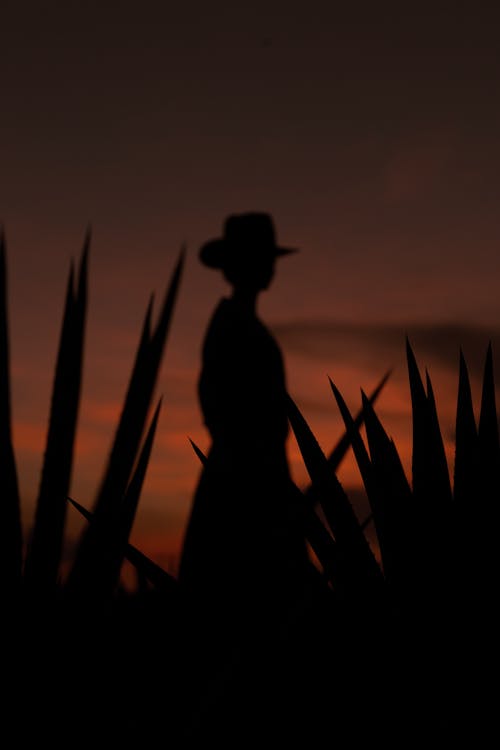 Silhouette of a cowboy in silhouette against a sunset