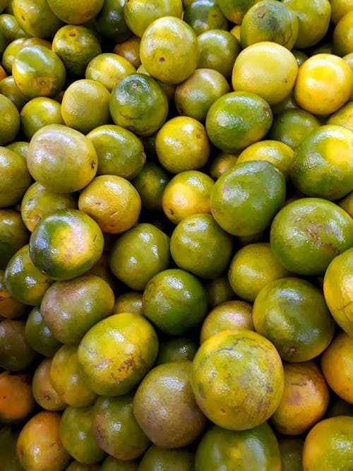 Green Round Fruits