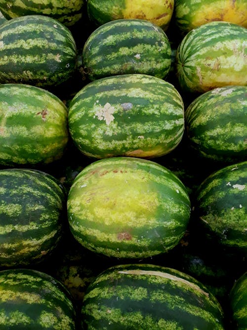 Ingyenes stockfotó bőség, egészséges, görögdinnyék témában Stockfotó