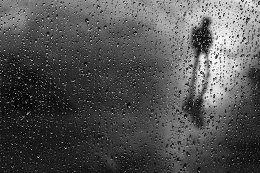 Mysterious silhouette behind a rain-soaked window, creating an atmospheric black and white scene.