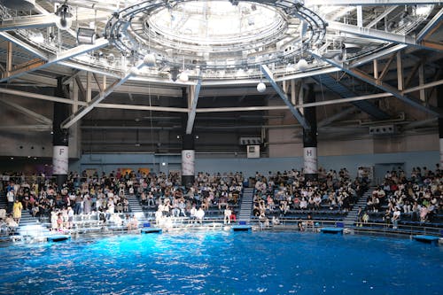 A large crowd of people watching a show in a large arena