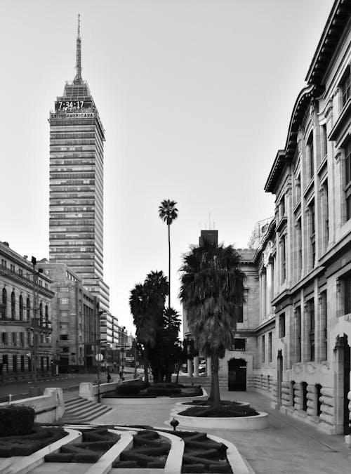Free stock photo of torre latinoamericana