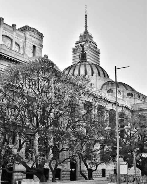 Free stock photo of palace of fine arts, torre latinoamericana