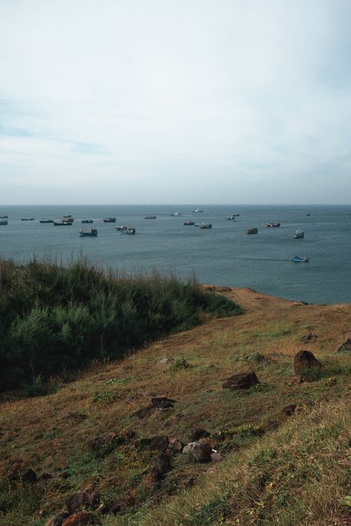 Free A tranquil seaside landscape featuring boats on a calm sea against a grassy foreground. Stock Photo